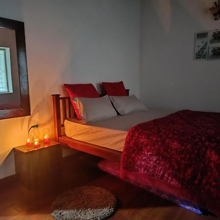 Little Valley Villa Ooty Ngoại thất bức ảnh